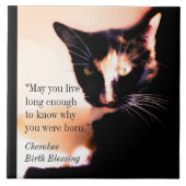 Cat Messenger Fliese (Vorderseite)