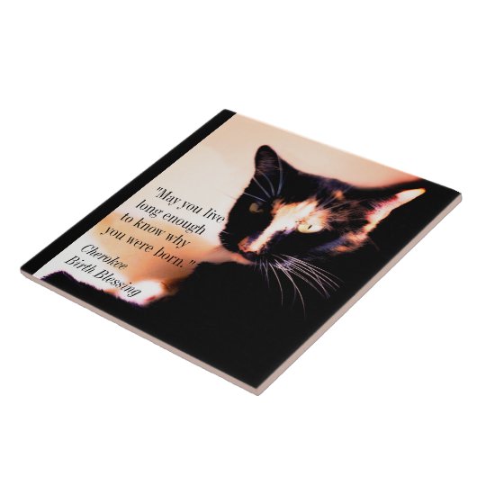 Cat Messenger Fliese (Seite)