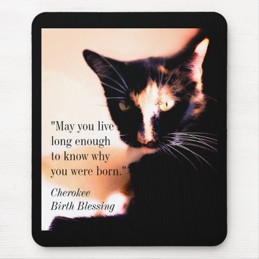 Cat Messenger Mousepad (Vorne)