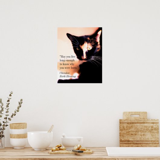 Cat Messenger Poster (Küche)