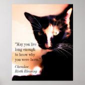 Cat Messenger Poster (Vorne)