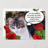 CAT MIT ROTE ROSEN BACON BRUNCH-PARTY EINLADUNG (Vorne/Hinten)