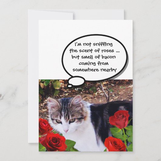 CAT MIT ROTE ROSEN BACON BRUNCH-PARTY EINLADUNG (Vorderseite)