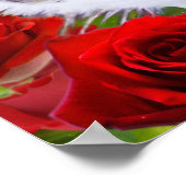 CAT MIT ROTE ROSEN POSTER (Ecke)
