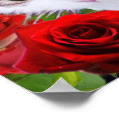 CAT MIT ROTE ROSEN POSTER (Ecke)