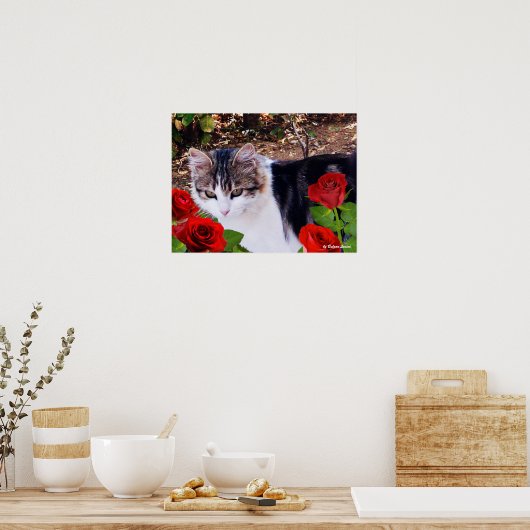CAT MIT ROTE ROSEN POSTER (Küche)