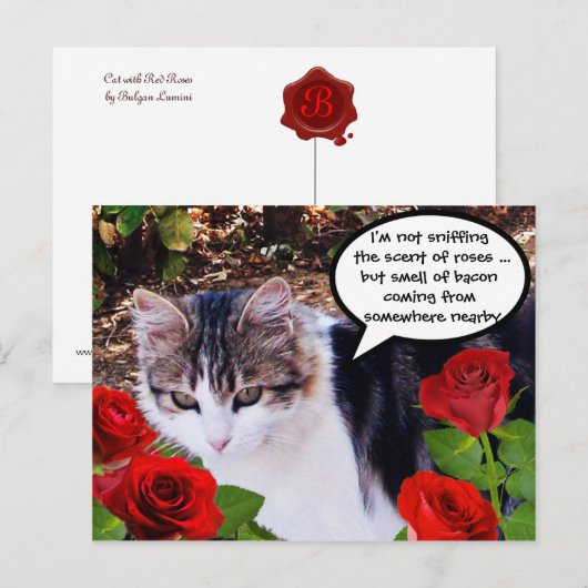 CAT MIT ROTE ROSEN POSTKARTE (Vorne/Hinten)