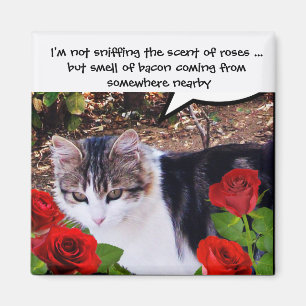 CAT MIT ROTE ROSEN UND BACON MAGNET