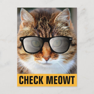 CAT mit Sonnenbrille, KARO MEOWT POSTCARD Postkarte
