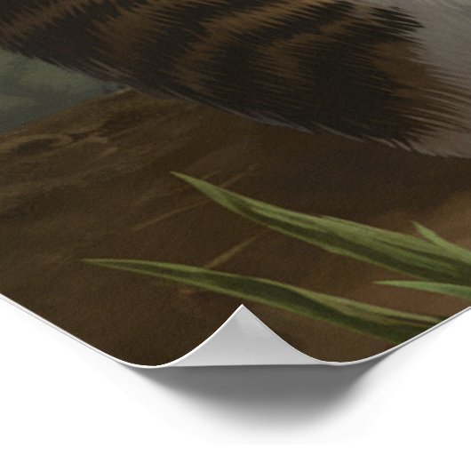 Cat Moral Dilemma Poster (Ecke)