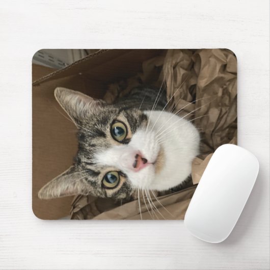 Cat Mouse Mat Mousepad (Mit Mouse)