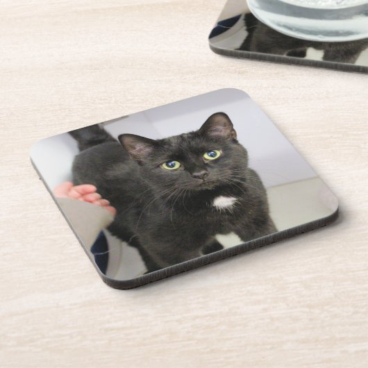 Cat Mouse Pad Getränkeuntersetzer (Linke Seite)