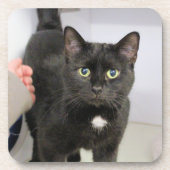 Cat Mouse Pad Getränkeuntersetzer (Vorderseite)