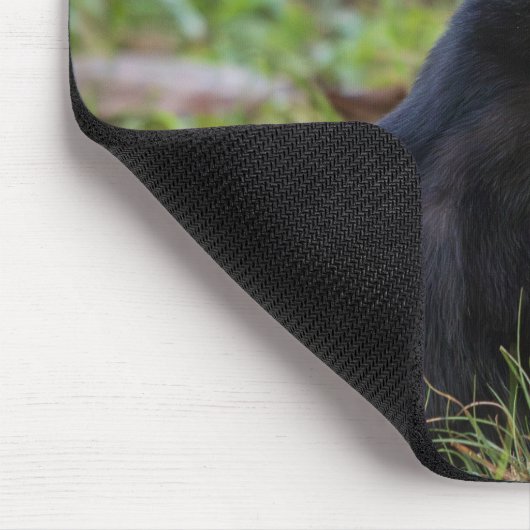 Cat Mouse Pad Mousepad (Ecke)