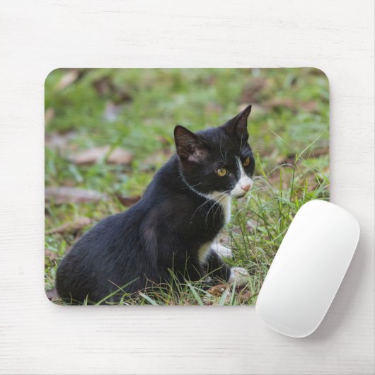 Cat Mouse Pad Mousepad (Mit Mouse)