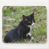 Cat Mouse Pad Mousepad (Vorne)