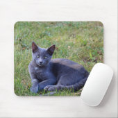 Cat Mouse Pad Mousepad (Mit Mouse)