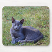 Cat Mouse Pad Mousepad (Vorne)