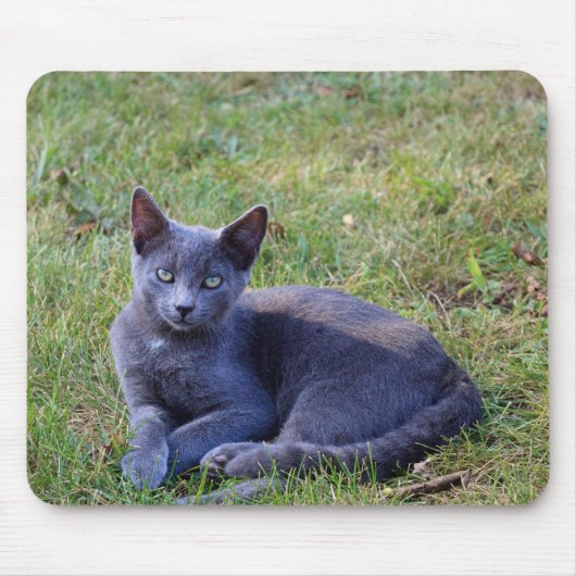 Cat Mouse Pad Mousepad (Vorne)