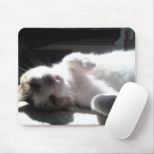 Cat Mouse Pad! Mousepad (Mit Mouse)