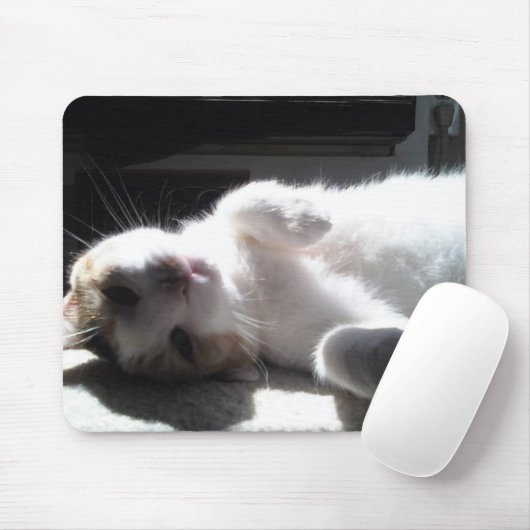 Cat Mouse Pad! Mousepad (Mit Mouse)
