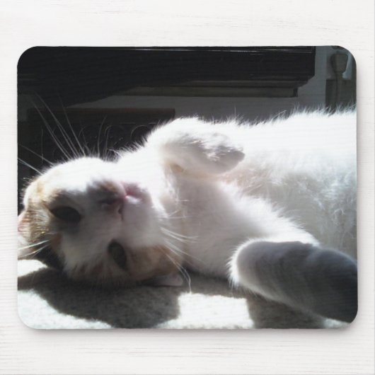 Cat Mouse Pad! Mousepad (Vorne)