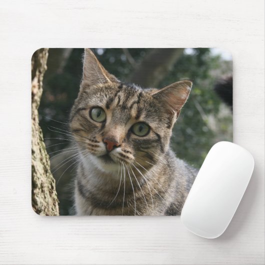 CAT MOUSEPAD (Mit Mouse)