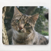 CAT MOUSEPAD (Vorne)