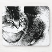 Cat Mousepad (Vorne)