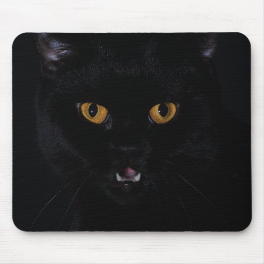 Cat Mousepad (Vorne)