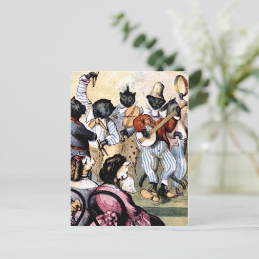 Cat Musicians Postkarte (Stehend Vorderseite)