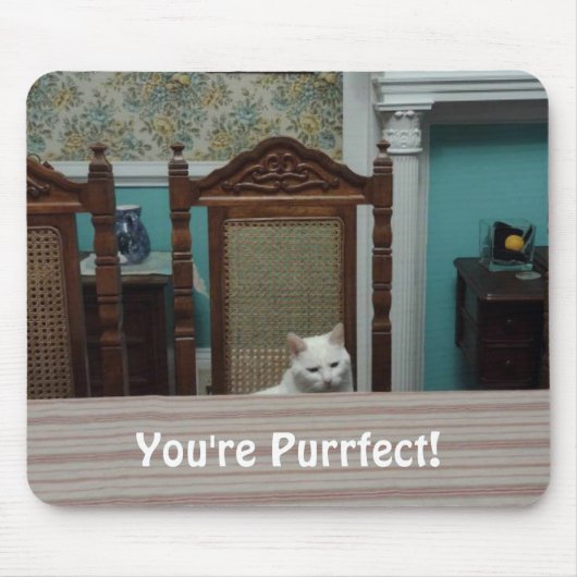 Cat-Nachricht: "Du bist Purfect!" Mousepad (Vorne)