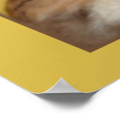 Cat Nappers Poster (Ecke)