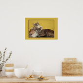 Cat Nappers Poster (Küche)