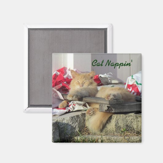 Cat Nappin' Magnet (Vorderseite/Rückseite)