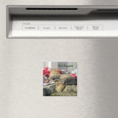 Cat Nappin' Magnet (In Situ (Geschirrspüler))