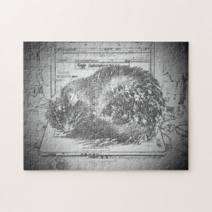 Cat Napping Auf dem Laptop oder erstellen Sie Ihre Puzzle