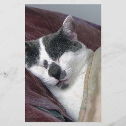 Cat Napping Briefpapier (Vorderseite)