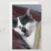 Cat Napping Briefpapier (Vorne/Hinten)