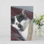 Cat Napping Briefpapier (Stehend Vorderseite)