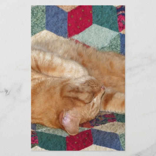 Cat Napping Briefpapier (Vorderseite)