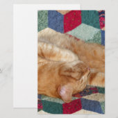 Cat Napping Briefpapier (Vorne/Hinten)