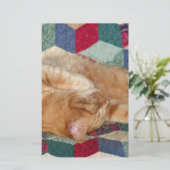 Cat Napping Briefpapier (Stehend Vorderseite)