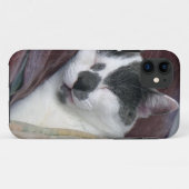 Cat Napping Case-Mate iPhone Hülle (Rückseite (Horizontal))