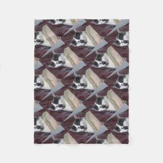 Cat Napping Fleecedecke (Vorderseite)