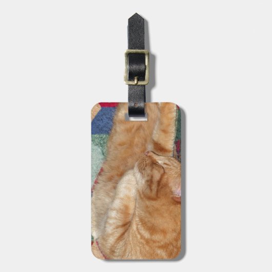 Cat Napping Gepäckanhänger (Vorderseite vertikal)