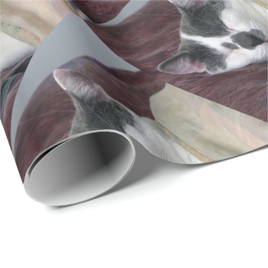 Cat Napping Geschenkpapier (Rolleneckpunkt)