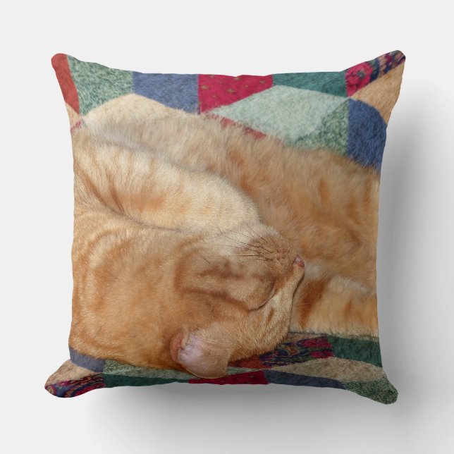 Cat Napping Kissen (Vorderseite)