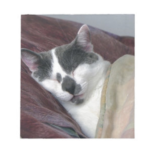 Cat Napping Notizblock