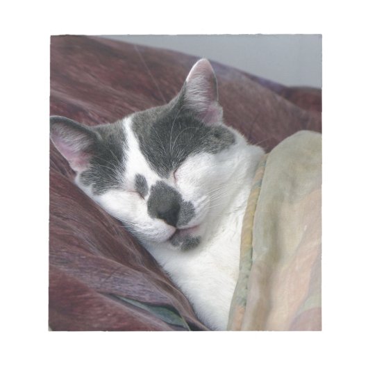 Cat Napping Notizblock (Vorderseite)